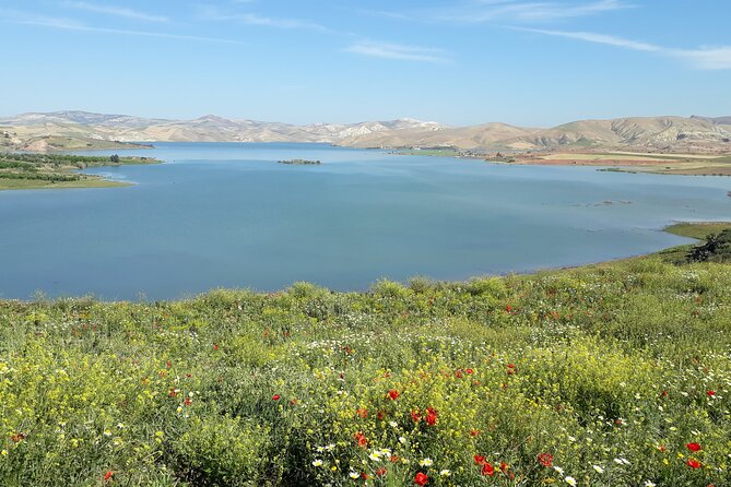 Private Day Tour to Meknes, Volubilis and Moulay Idriss from Fez - Is $145 a Fair Price?