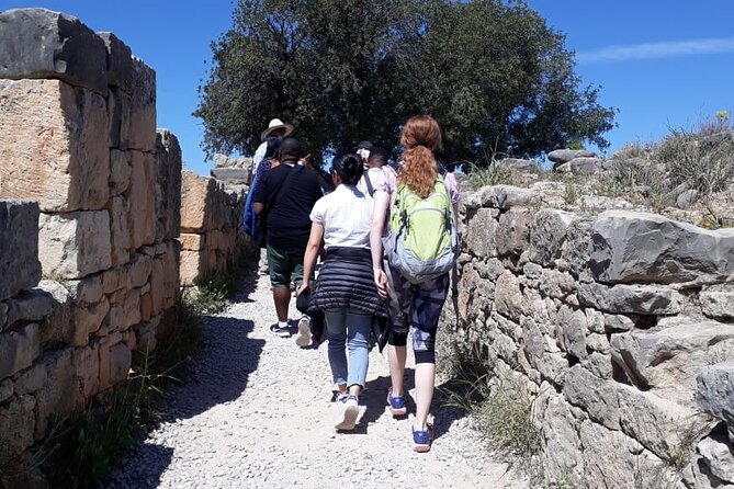 Private Day Tour to Meknes, Volubilis and Moulay Idriss from Fez - How to Get More From the Experience