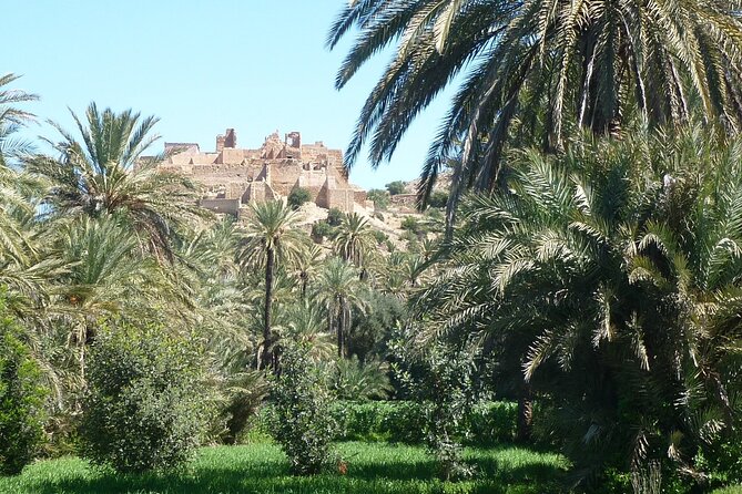 Private Day Trip of Taroudant & Tiout from Agadir - From Agadir to Taroudant by private car