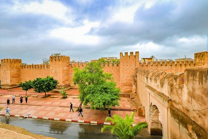Private Day Trip of Taroudant & Tiout from Agadir - Walking through a palm grove of 20,000 date palms