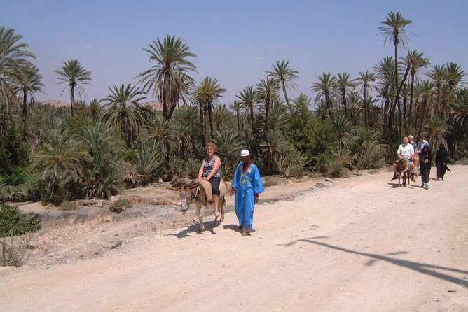 Private Day Trip of Taroudant & Tiout from Agadir - Who will get the most from this day