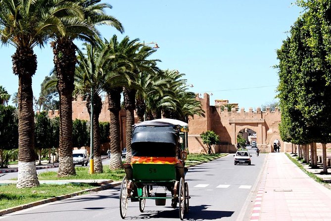 Private Day Trip of Taroudant & Tiout from Agadir - The road to Tiout and its Anti-Atlas setting