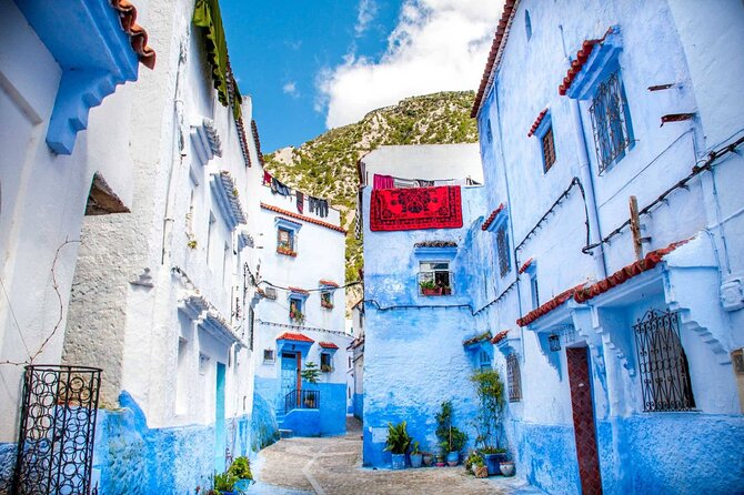 Private day trip to Chefchaouen from Fez - Key points to know before booking