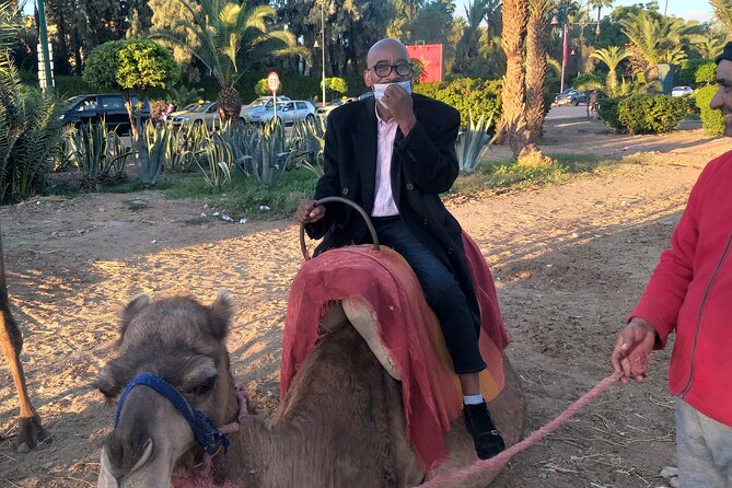 Private day trip to Marrakech from Casablanca - Who will get the most from this day trip