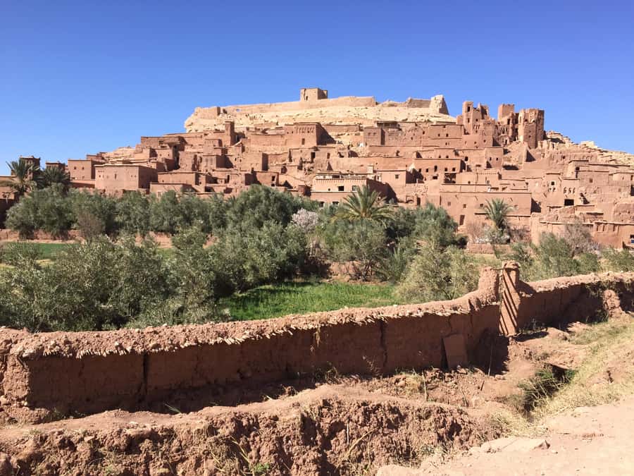 Private Day Trip To Ouarzazate & Ait Ben Haddou Kasbah - Who will enjoy this day most