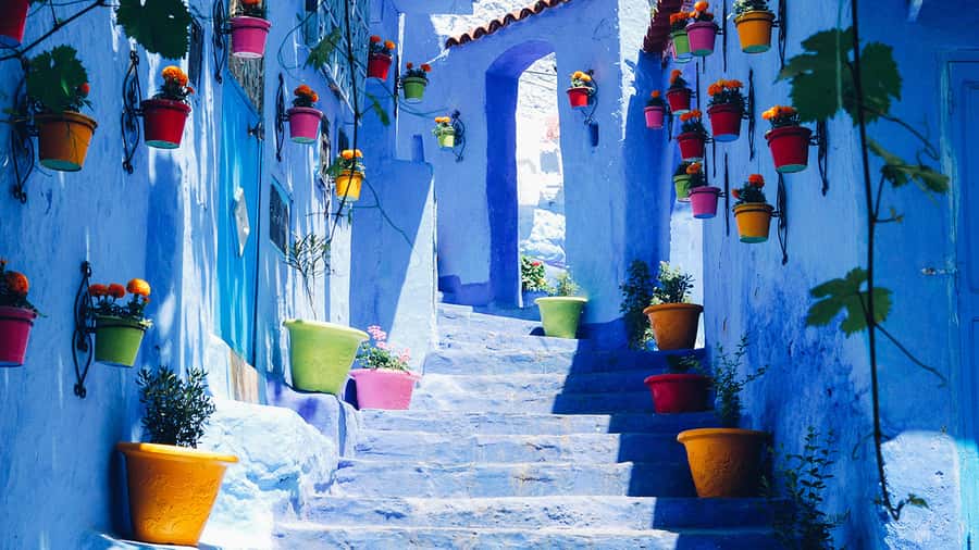 Private - Day Trip to the Blue City of Chefchaouen - What $153 per person really buys
