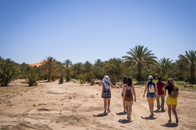 Private Driver for a full day in Marrakech - What This Marrakech Driver Service Really Provides