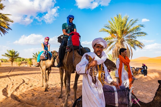 Private Driver for a full day in Marrakech - What Is Not Included Inside the Car