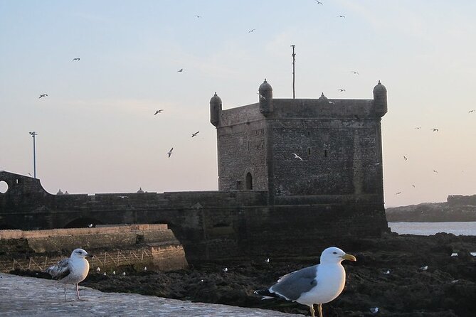 Private Essaouira Day Trip From Agadir - The port, lunch, and free time
