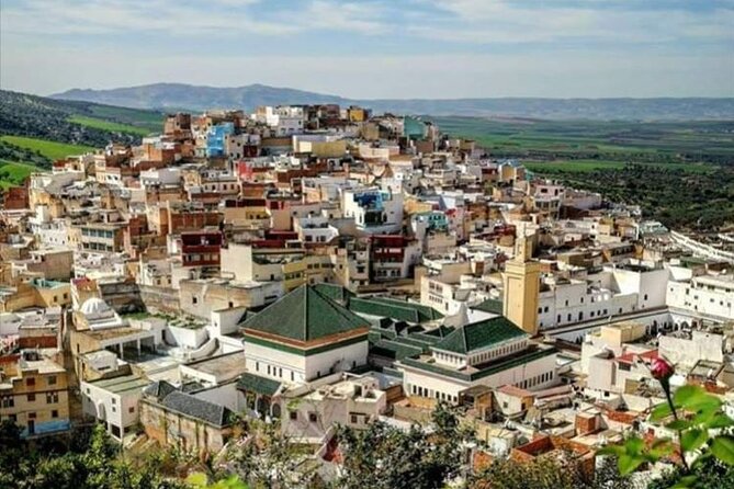 Private Excursion to Volubilis Meknes and Moulay Idriss from Fez - Why this Fez day trip works
