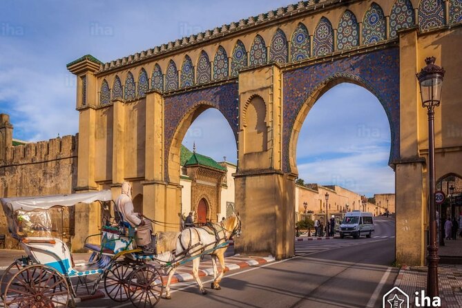 Private Excursion to Volubilis Meknes and Moulay Idriss from Fez - Volubilis and its Roman remains