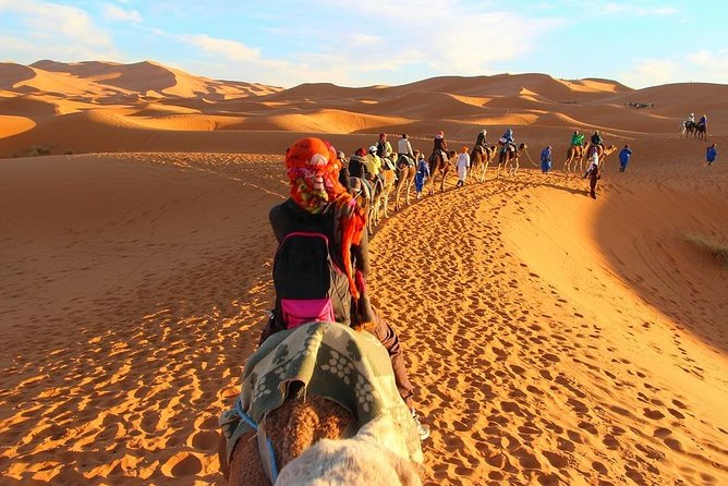 Private Fez to Marrakech Via Merzouga desert tour 3days - What the driver adds to the experience