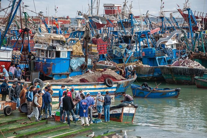 Private Grand Tour of Morocco - Day 2: Essaouira gives you sea air before Marrakech