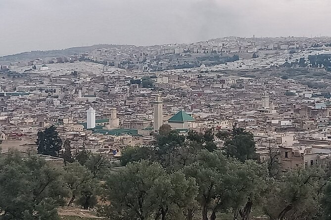 Private Guided Tour in Fez Medina - The Zaouia of Moulay Idriss II