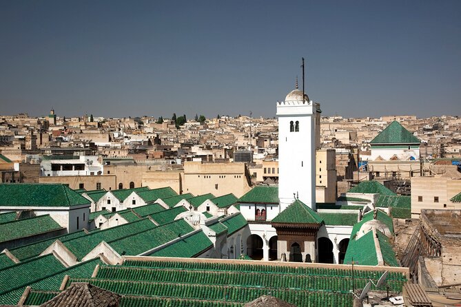 Private Half-Day Walking Tour of Fez Medina - Chouara Tannery and the traditional leather trade