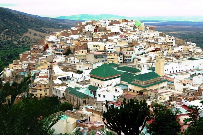 Private Meknes Volubilis -Mouly Idriss day trip from Fez - Who should book this Fez day trip