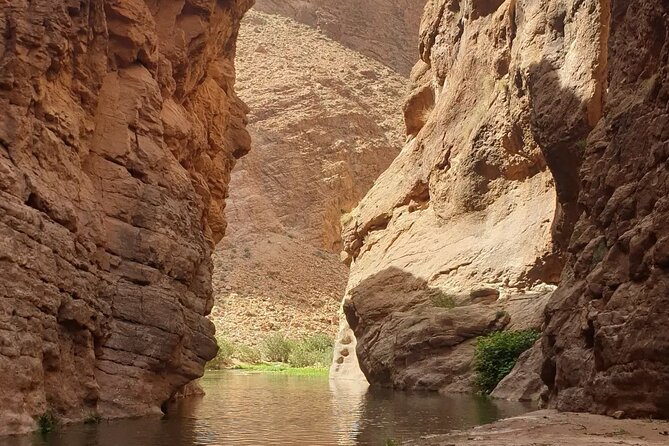 Private Monkey Fingers Canyon Hike - What your guide adds to the walk