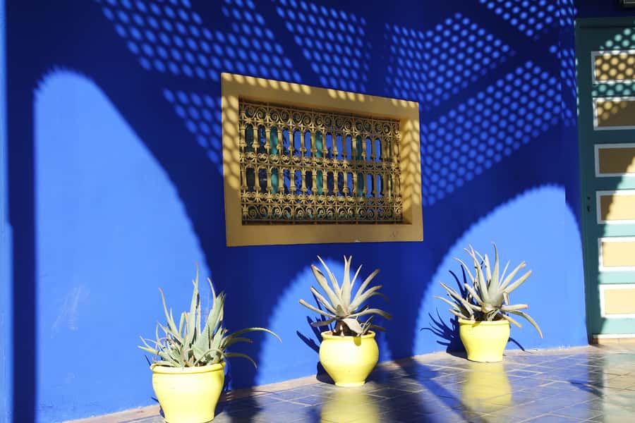 Private Tour: Half-Day Sightseeing Tour of Marrakech - Who should book this Marrakech tour?