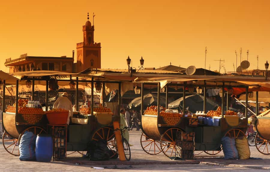 Private Tour: Half-Day Sightseeing Tour of Marrakech - Why this four-hour introduction works