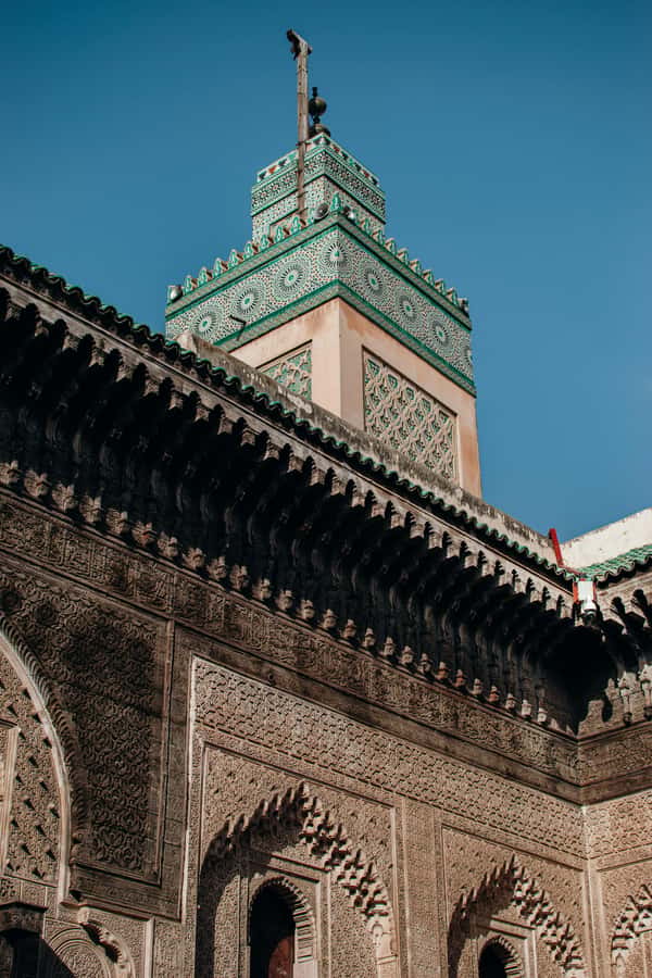 Private Tour –In Old Medina of Fez with a Professional Guide - Who should book this Fez medina tour?