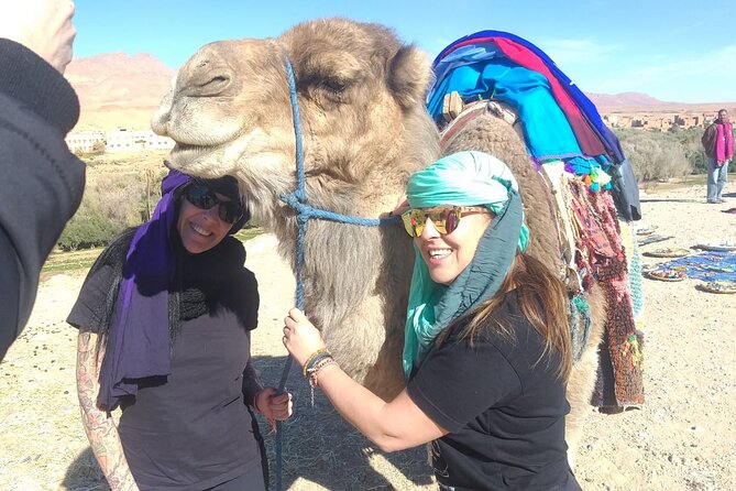 Private Transport from Chefchaouen to Tangier - Why the private price can make sense
