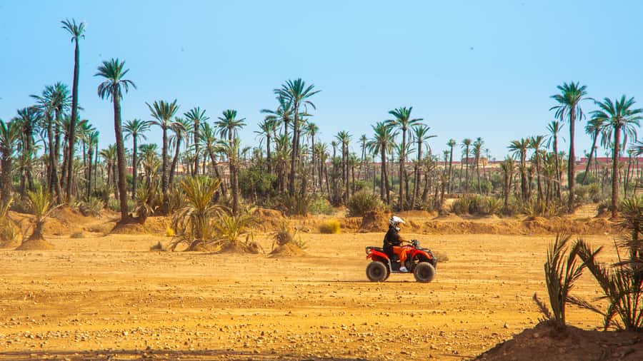 Quad Bike Activity in Marrakech Palmeraie - Who will get the most from this $30 outing