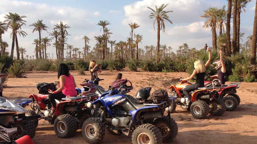 Quad Bike Activity in Marrakech Palmeraie - Should you book the Palmeraie quad ride?