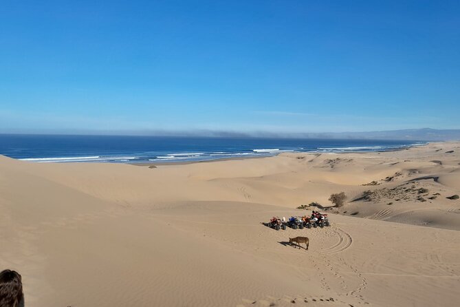 Quad Bike and Sandboarding on Sand Dunes Wild Beach - Sandboarding on the dunes
