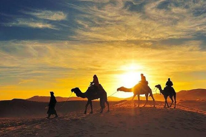 Quad Bike & Camel Ride & Dinner Show In Agafay Desert - Who will get the most from this tour