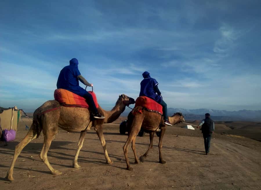 Quad bike & Camel ride in Agafay with dinner at Chouf L’or - Quad biking across Agafay’s rocky tracks
