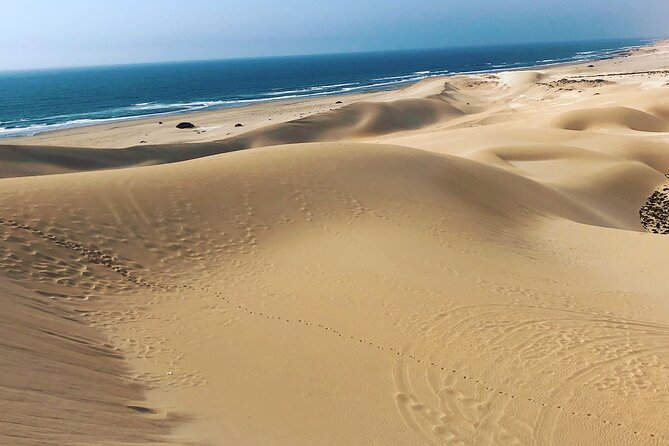 Quad Biking and Sandboarding on Sand Dunes Wild Beach - From Agadir to Tifnit’s open coast