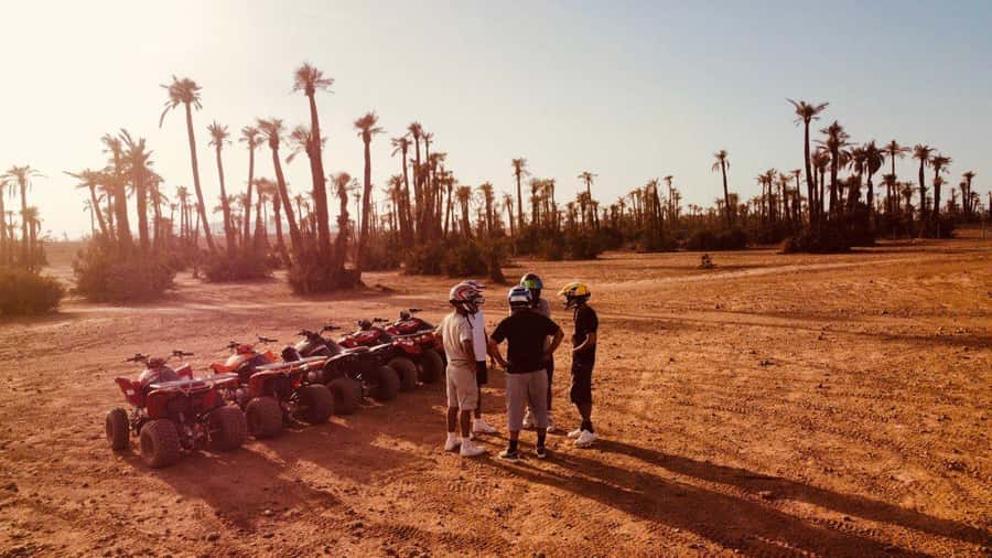 Quad biking in Marrakech's desert palm grove - Riding through the Palmeraie, not the open Sahara