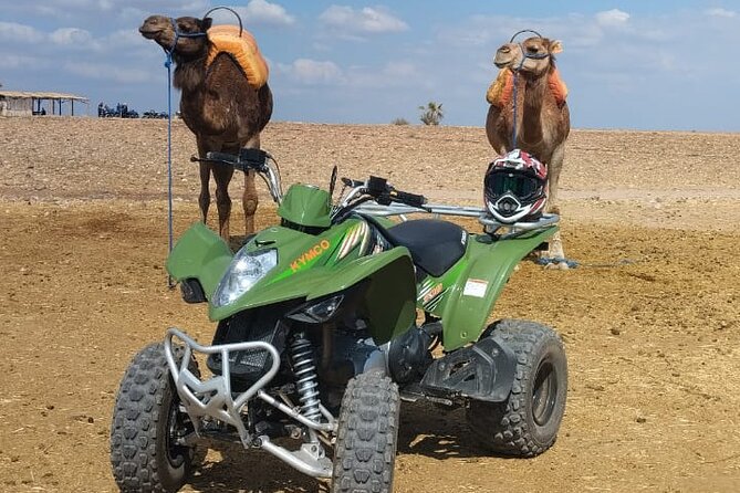 Quad in the Palmeraie of Marrakech - Leaving Marrakech for the Palmeraie