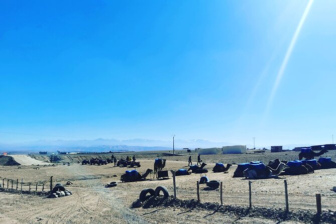 Quad Ride In The Agafay Desert - Mint tea after the first ride