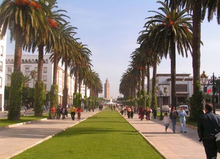 Rabat: Full-Day Trip from Casablanca - Hassan Tower and the Mohammed V Mausoleum