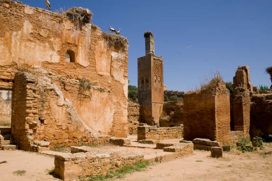 Rabat: Full-Day Trip from Casablanca - Rue des Consuls and the Rabat Medina