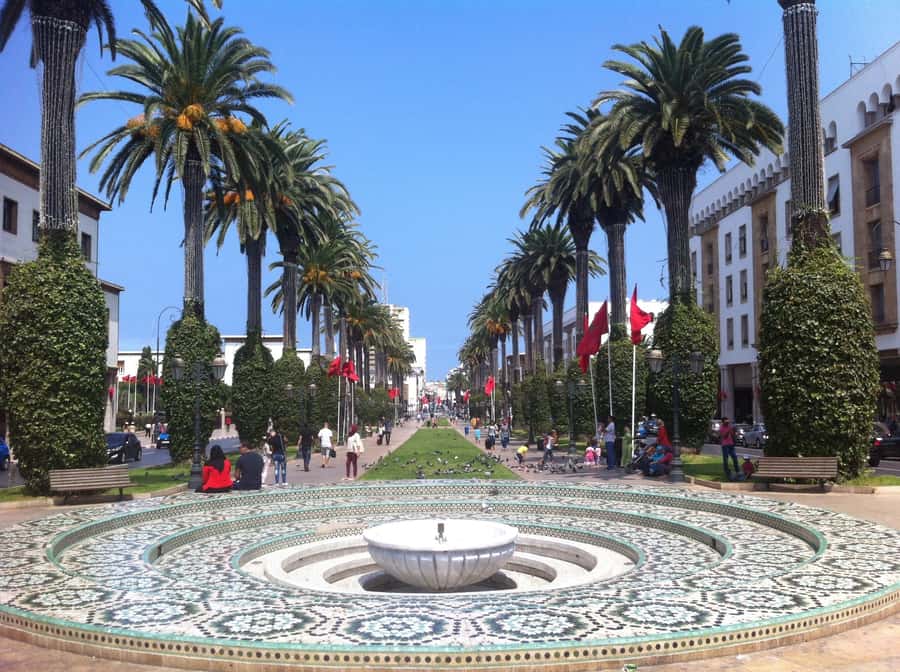 Rabat: Private Half-Day City Tour - Walking through the Kasbah of the Udayas