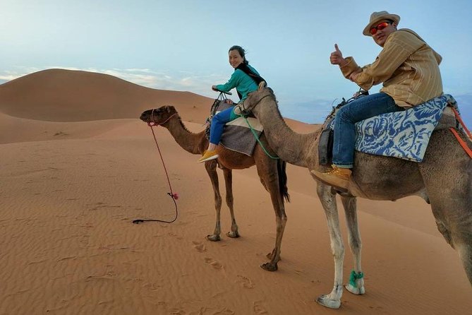 Sahara Desert Trip - 2 night 3 days - Fes to Marrakech OR Marrakech to Fes - Who should book this trip