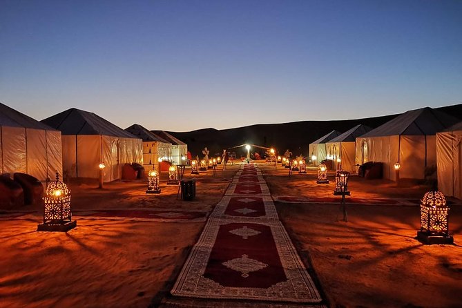 Sahara Desert Trip - 2 night 3 days - Fes to Marrakech OR Marrakech to Fes - Day one: Ifrane, Azrou, and the Middle Atlas