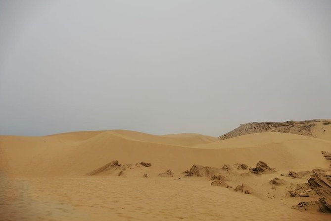 Sandboarding guided experience from Agadir - Tamri and the road toward the dunes