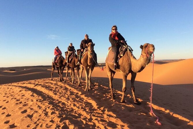 Shared Group 3 Days/2Nights: Fez to Marrakech Sahara Tour - Sunset by camel at Erg Chebbi