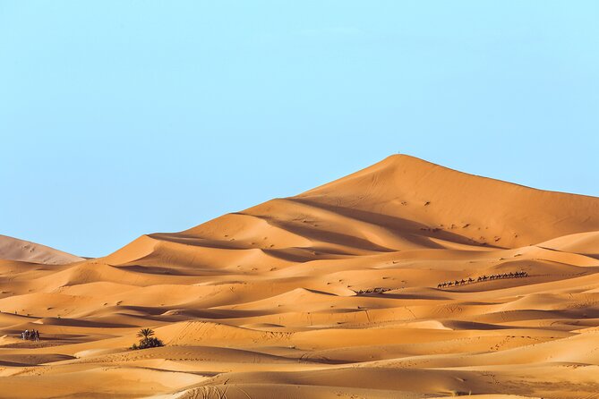 Shared Group Desert Tour Fes To Marrakech Via Merzouga 3 Days - What the $313.59 price really covers