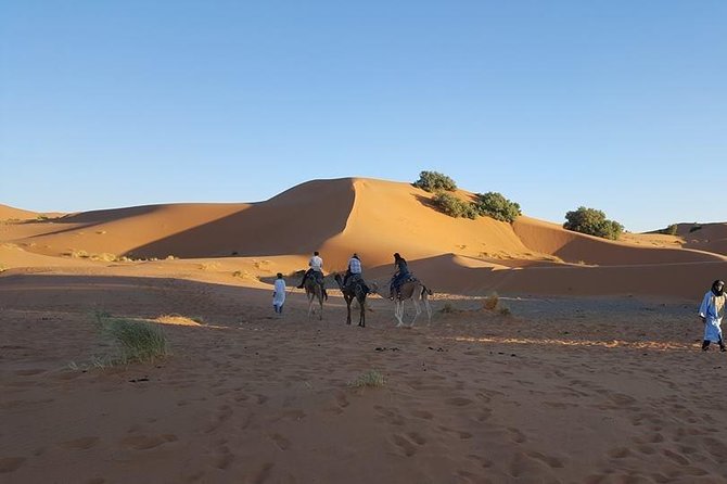 Shared Group Desert Tour Fez to Fez via Merzouga 2Days /1night - Arriving in Merzouga before sunset