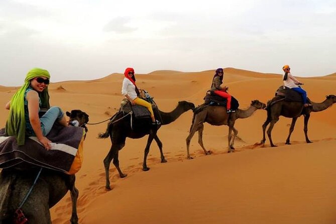 Shared group Fez to Fez Sahara tour 2Days/1Night - Why the Sahara is worth a two-day rush