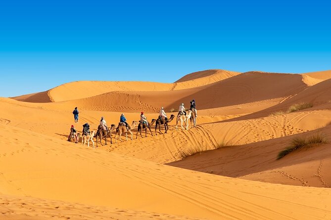 Shared group Fez to Fez Sahara tour 2Days/1Night - Sunrise over Erg Chebbi on Day 2