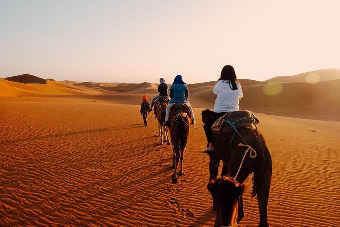 Shared Group Fez To Marrakech via Merzouga Desert Tour 2 Days - Leaving Fez for Ifrane at 7:30 a.m.