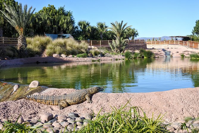 Skip the Line Ticket to Crocoparc with Optional Transfert - Why Crocoparc is more than a crocodile enclosure