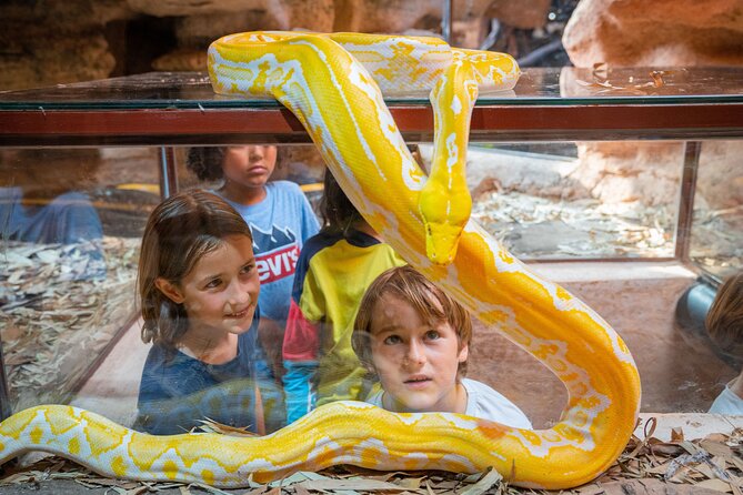 Skip the Line Ticket to Crocoparc with Optional Transfert - Family time, play areas, and small extras