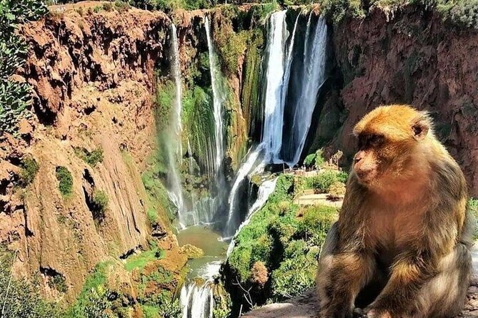 Small group Ouzoud Waterfall Guided Tour Boat Ride from Marrakech - Lunch is part of the day, but not part of the price