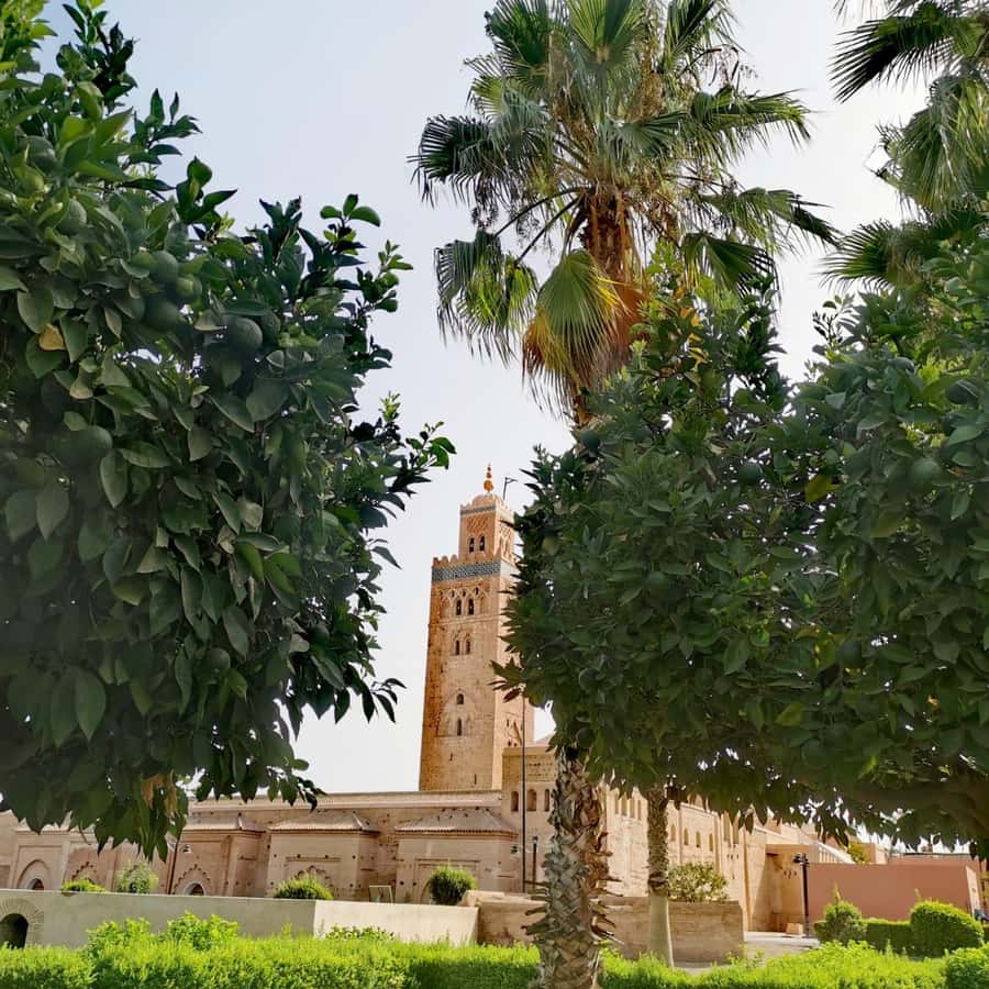 Sparkling Marrakech through the eyes of your local Guide - Key points at a glance